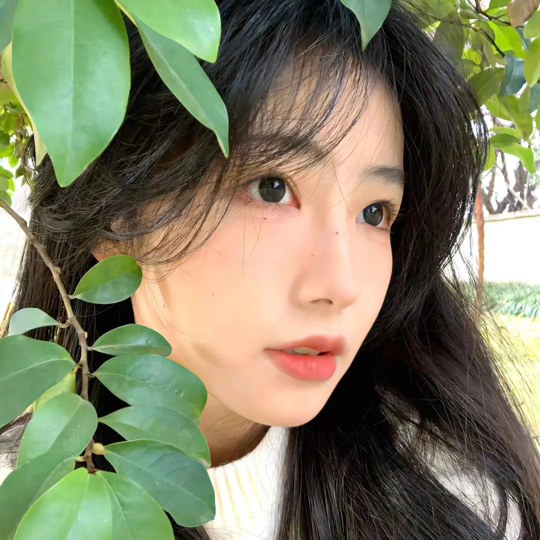 哥哥姐姐的花样年华